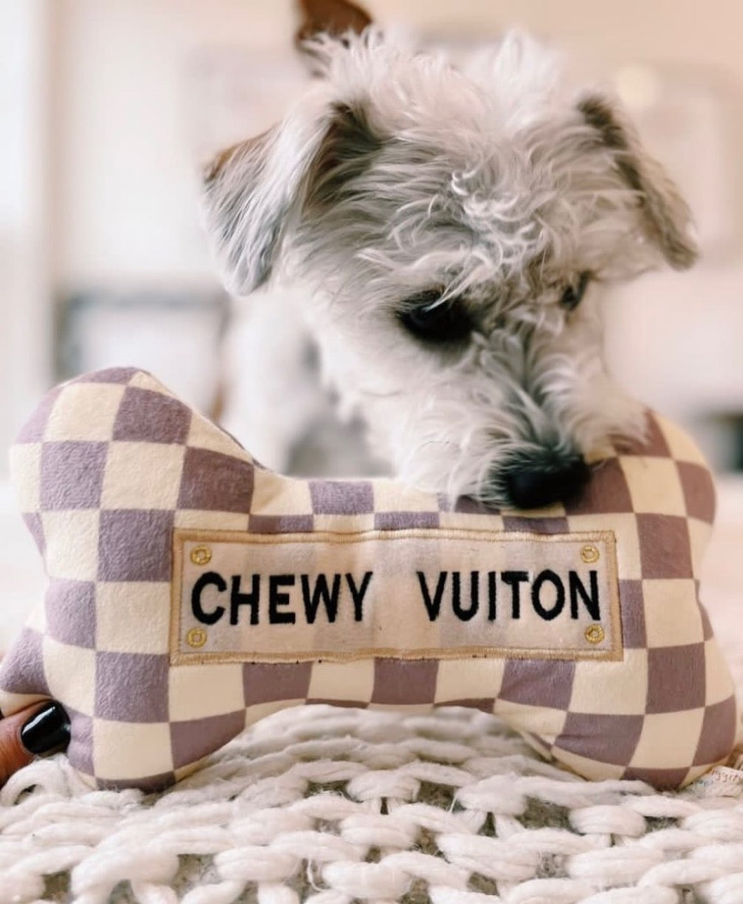 Checker Chewy Vuiton Bone Dog Toy